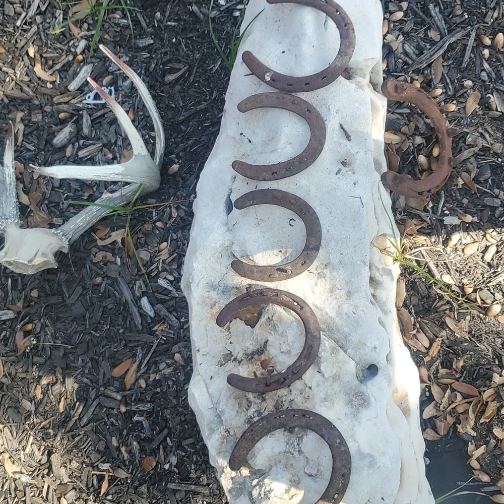 Pick your horse shoe selling individual not all together